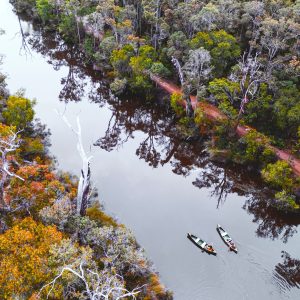 RAC Karri Valley Resort